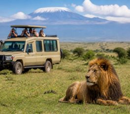 Circuit accompagné Kenya : pourquoi choisir Hors Pistes pour un safari authentique, fluide et sur mesure
