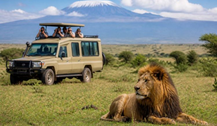 Circuit accompagné Kenya : pourquoi choisir Hors Pistes pour un safari authentique, fluide et sur mesure