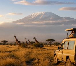 Safari en Tanzanie : préparer son voyage sans rien oublier