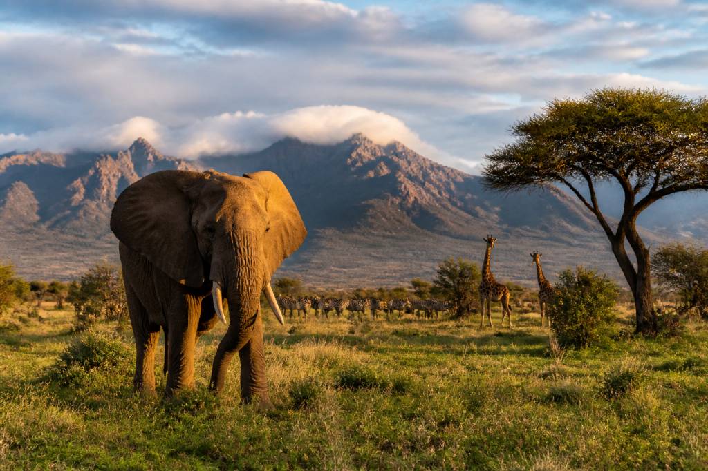 Voyage Afrique australe : le guide complet pour organiser un séjour sur mesure avec Hors Pistes afrique australe