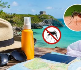 Zika au Mexique : précautions et conseils pour les voyageurs