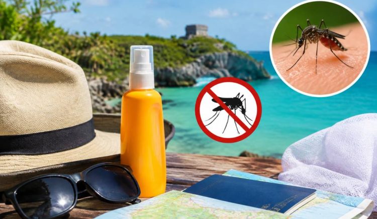 Zika au Mexique : précautions et conseils pour les voyageurs