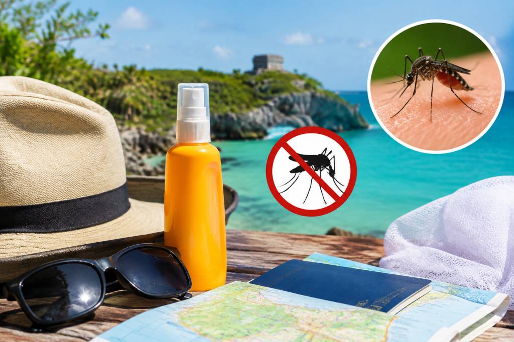 Zika au Mexique : précautions et conseils pour les voyageurs