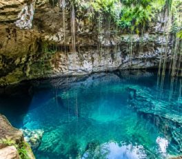 Les plus beaux cénotes du Yucatán à découvrir absolument