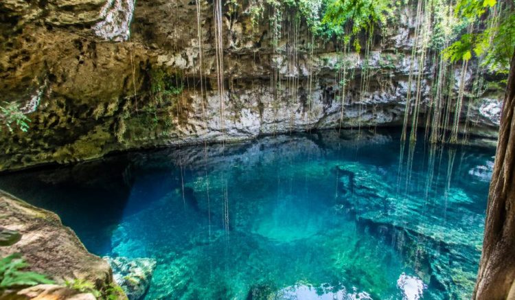 Les plus beaux cénotes du Yucatán à découvrir absolument