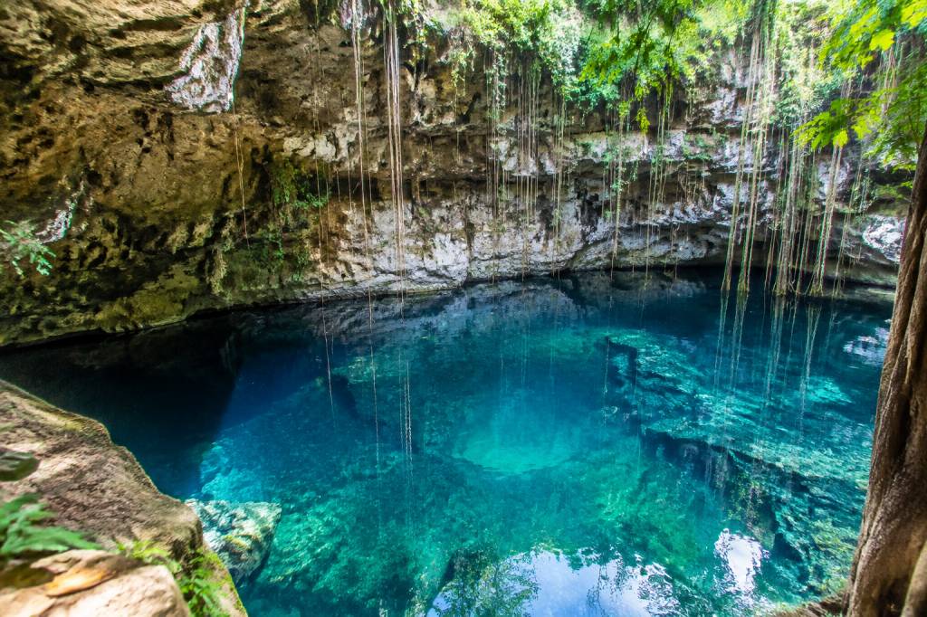 Les plus beaux cénotes du Yucatán à découvrir absolument